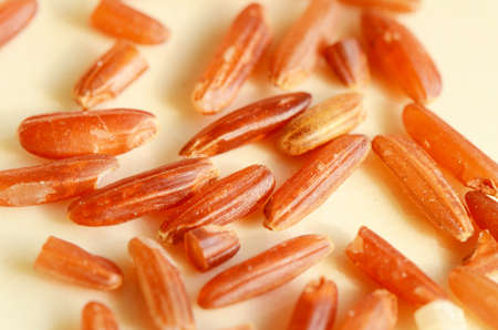 Brown Rice の写真素材