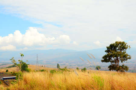 Meadow and Hill の写真素材