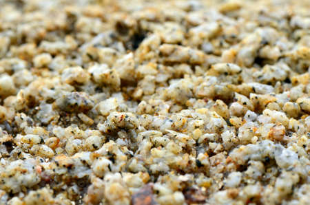 Sand Background Texture 