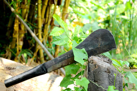 Gardening Tools の写真素材