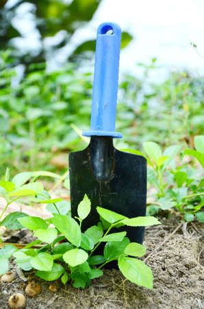 Gardening Tools の写真素材