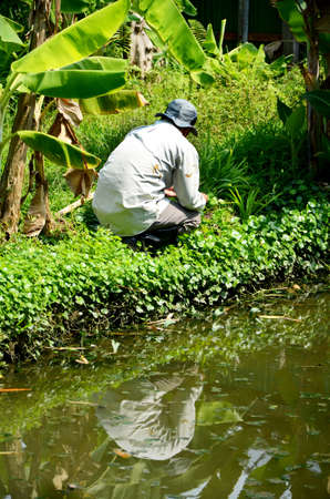 Gardener selecting some plants for planting の写真素材