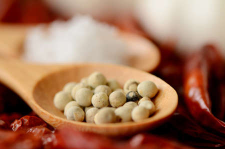 Teaspoons of salt and white peppers with garlic bulb and dried chili background 
