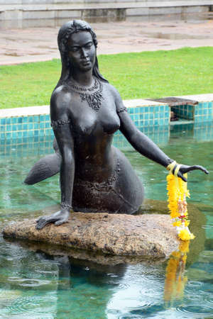 Black Mermaid の写真素材