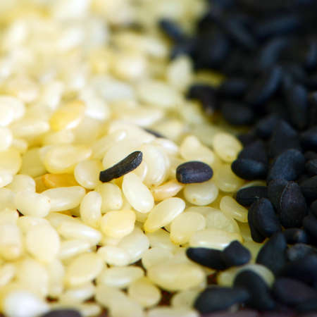 Mixed Sesame Seeds の写真素材