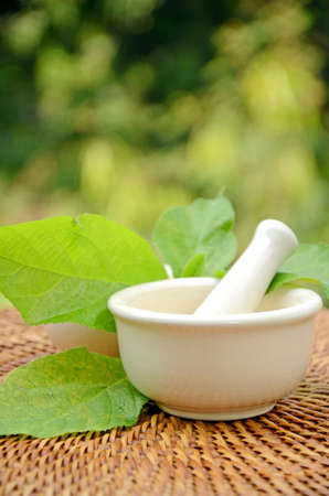 Porcelain herbal medicine grinder の写真素材