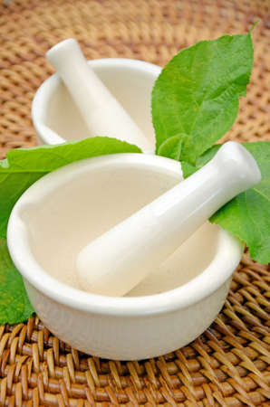 Porcelain herbal medicine grinder の写真素材