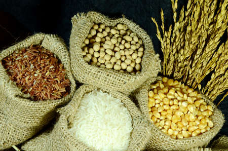 Organic products of soy bean, corn, coarse rice and white rice in burlap sac on dark background 