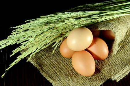 Organic eggs in burlap sac and paddy on dark background の写真素材