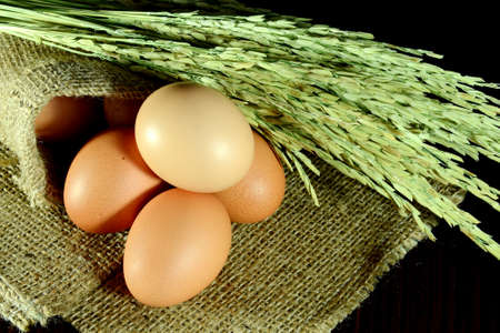 Organic eggs in burlap sac and paddy on dark background の写真素材