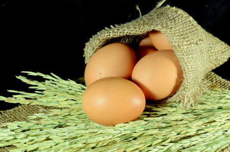 Organic eggs in burlap sac and paddy on dark background の写真素材