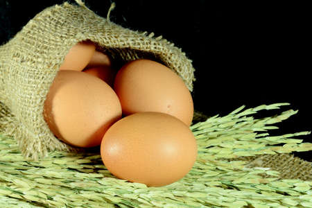 Organic eggs in burlap sac and paddy on dark background の写真素材