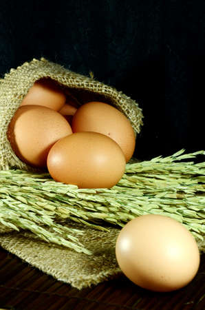 Organic eggs in burlap sac and paddy on dark background の写真素材