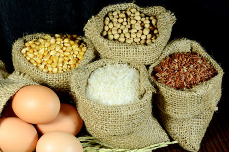 Organic products of soy bean, corn, eggs, coarse rice and white rice in burlap sac on dark background の写真素材