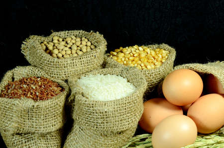Organic products of soy bean, corn, eggs, coarse rice and white rice in burlap sac on dark background の写真素材