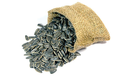 Little sack of dried sunflower seeds on white background の写真素材