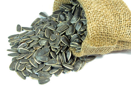 Little sack of dried sunflower seeds on white background の写真素材