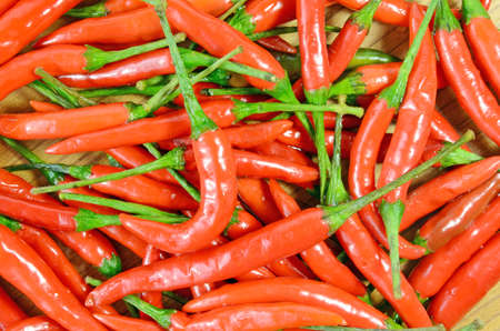 Heap of red hot peppersの写真素材