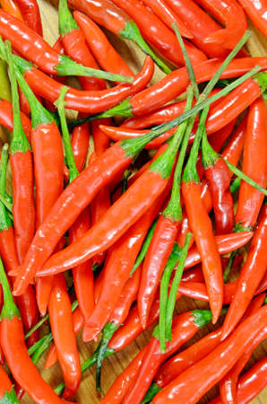 Heap of red hot peppersの写真素材