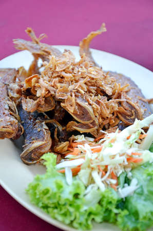 Fried Whisker Sheatfish with Fresh Salad の写真素材