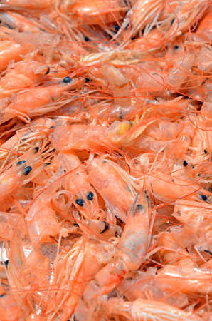 Dried Shrimp, a famous preserved sea food の写真素材