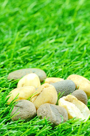 Good Quality Artificial Turf Decorated with Natural Rock の写真素材