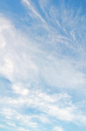 Summer sky with white cloud の写真素材