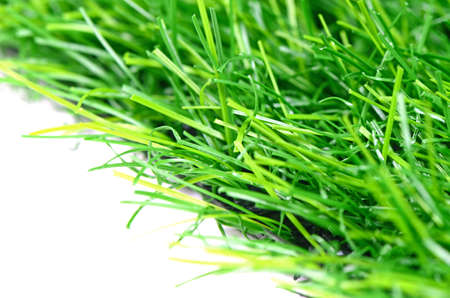 Good Quality Artificial Turf Isolated on White Background の写真素材
