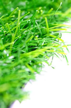 Good Quality Artificial Turf Isolated on White Background の写真素材