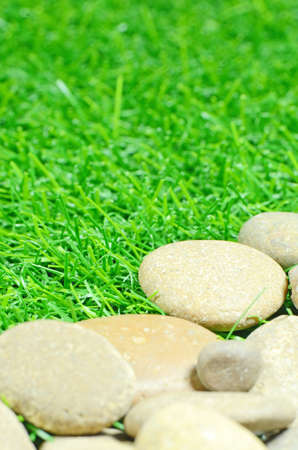 Good Quality Artificial Turf Decorated with Natural Rock の写真素材
