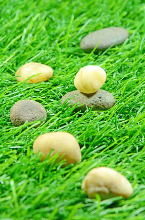 Good Quality Artificial Turf Decorated with Natural Rock の写真素材