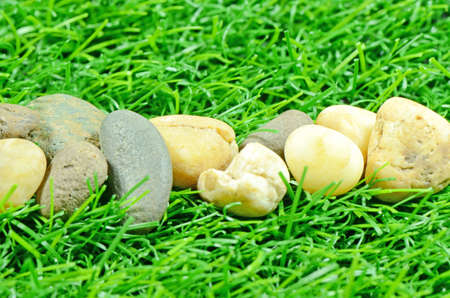 Good Quality Artificial Turf Decorated with Natural Rock の写真素材