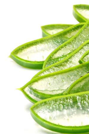 Slice Aloe Vera  Aloe barbadensis Mill ,Star cactus, Aloe, Aloin, Jafferabad or Barbados  a very useful herbal medicine for skin treatment and use in spa for skin care の写真素材