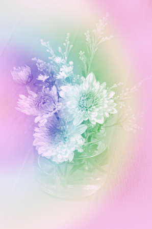 Close-up of Spray Type of Chrysanthemum (Dendranthemum grandifflora) Bouquet with Soft Focus Color Filtered as Background.の写真素材