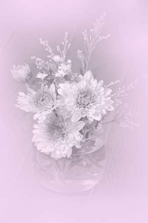 Close-up of Spray Type of Chrysanthemum (Dendranthemum grandifflora) Bouquet with Soft Focus Color Filtered as Background.の写真素材