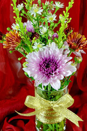 Small Bouquet of Spray Type of Purple Chrysanthemum (Dendranthemum grandifflora) in a Glass Cover with Red Saree Background.の写真素材