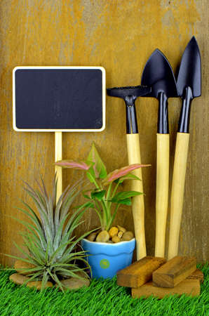 Small Gardening Tools and Artificial Turf on Old Wood Background.の写真素材