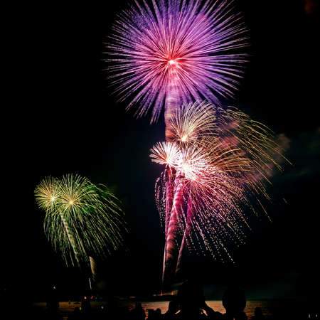 People with Firework Celebration.の写真素材