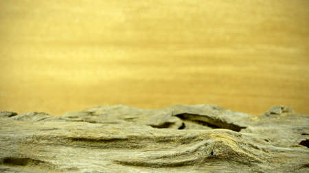 Unique grungy wood background with old log in vintage style.の写真素材
