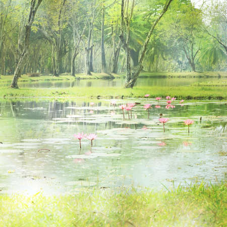 Abstract Nature Background. The Element of Design.の写真素材