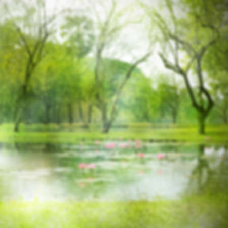Abstract Nature Background. The Element of Design.の写真素材