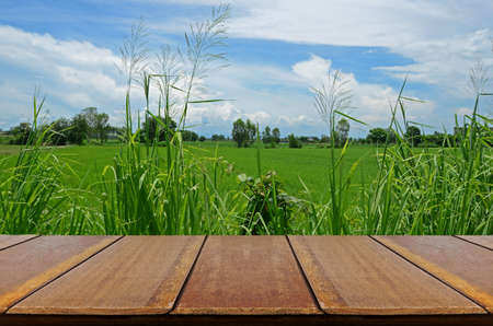 Outdoor Picnic Background with Wooden Table.の写真素材
