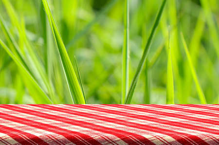 Green Glass Background with Wooden Table.の写真素材