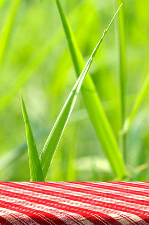 Green Glass Background with Wooden Table.の写真素材