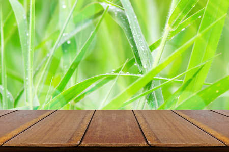 Green Grass Background with Wooden Table.の写真素材