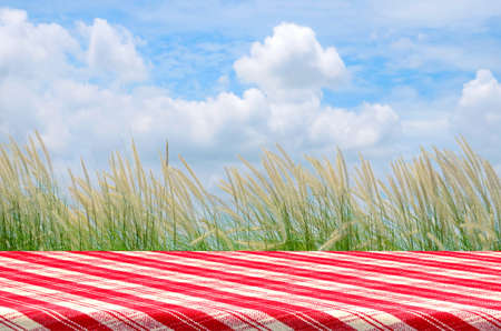 Outdoor Picnic Background with Picnic Table.の写真素材