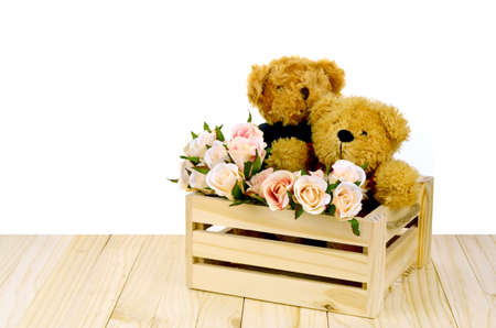 Couple of Bear and Pink Roses in Pine Wood Box on White Background.の写真素材