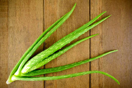 Fresh Aloe Vera on Wood Background.の写真素材