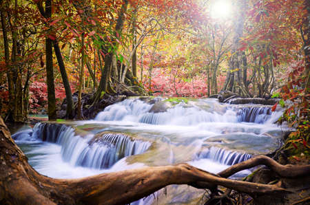 Beautiful scenic of waterfall with autumn forest.の写真素材