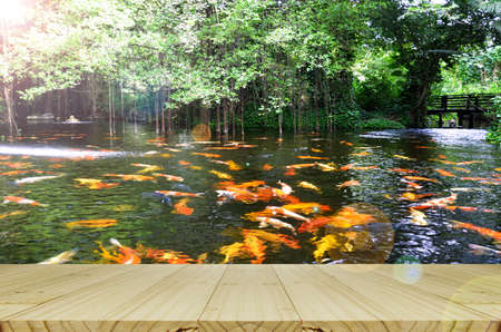 Perspective wood view with Backyard Koi fish pond background.の写真素材